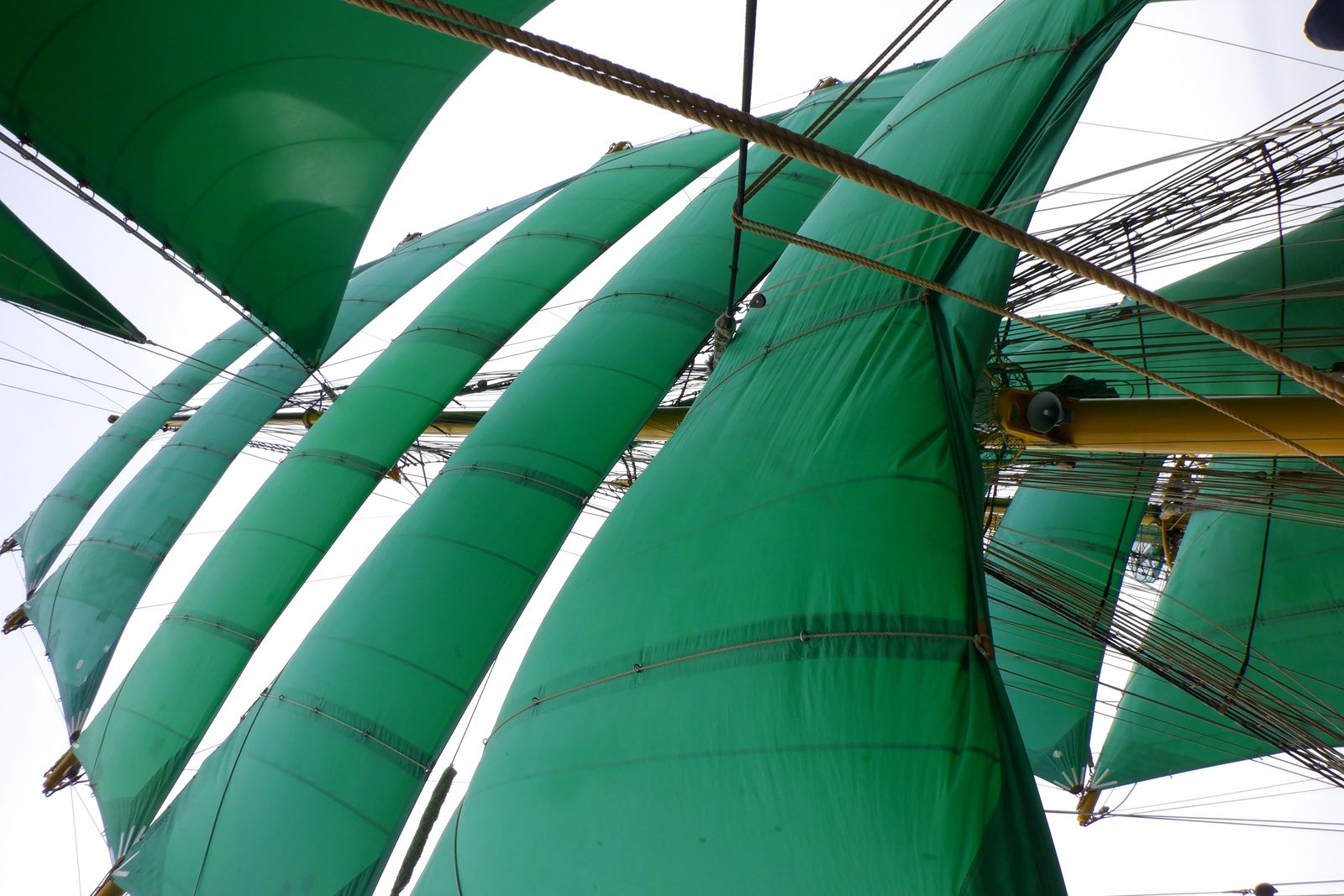 Full sail: Looking up through the canvas, March 2022